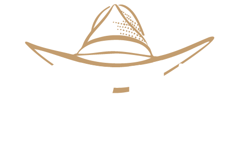 The Pop Hat Logo